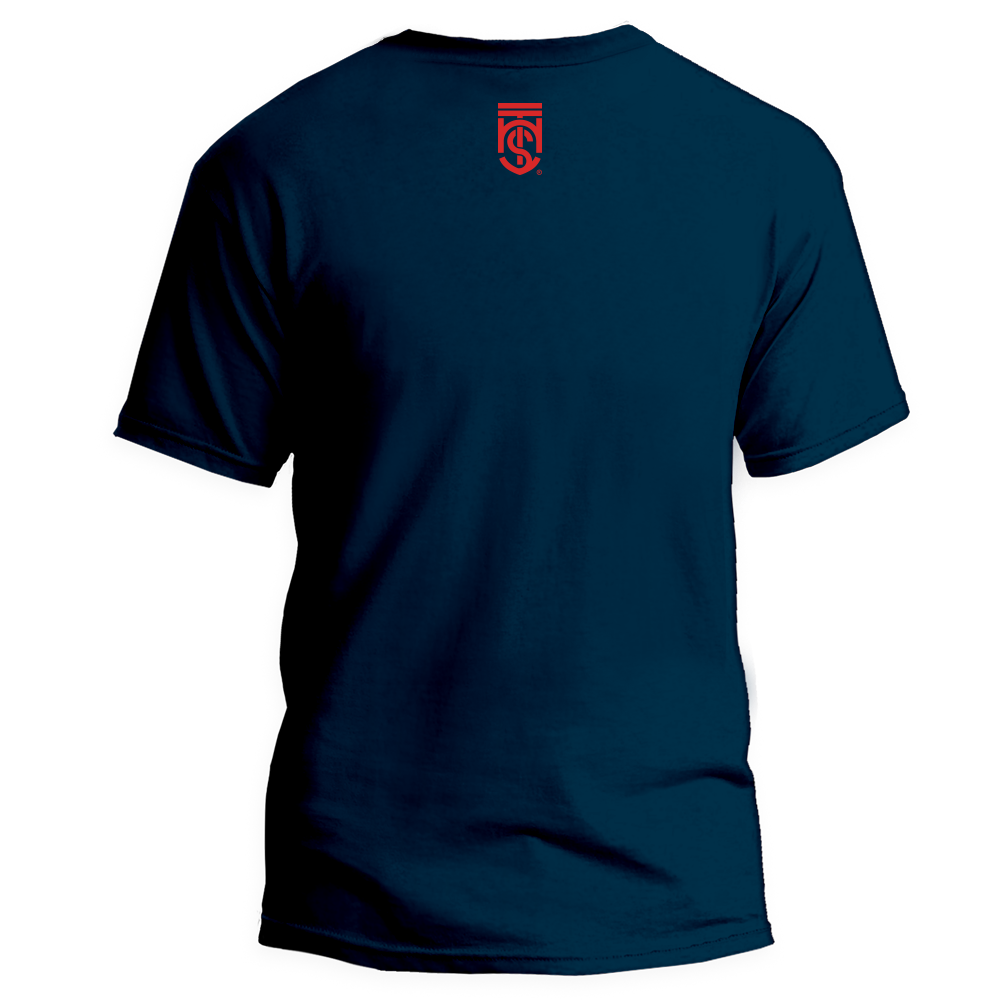 camisa_hts2_hts_costas