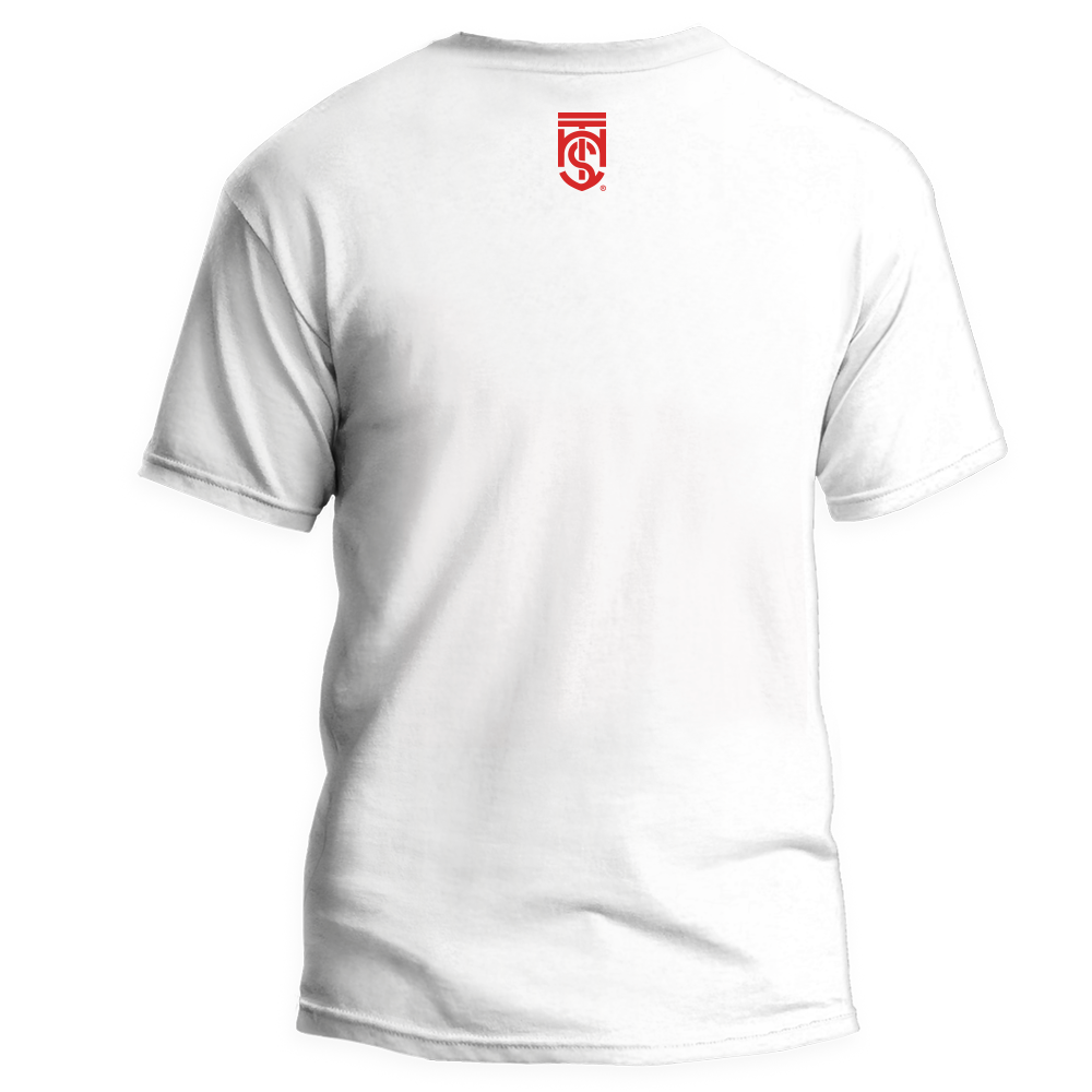 camisa_hts3_hts_costas